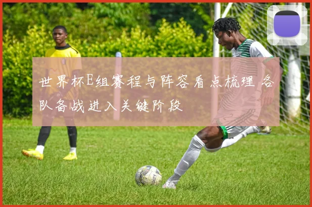 世界杯E组赛程与阵容看点梳理 各队备战进入关键阶段