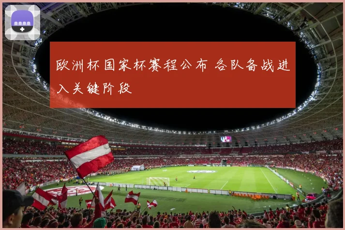 欧洲杯国家杯赛程公布 各队备战进入关键阶段