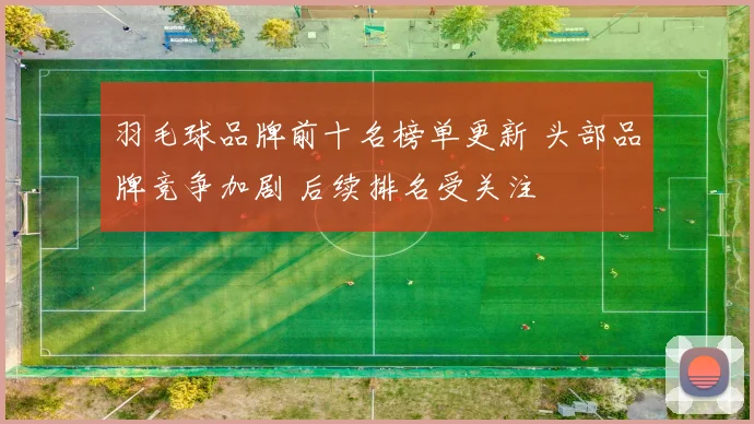 羽毛球品牌前十名榜单更新 头部品牌竞争加剧 后续排名受关注