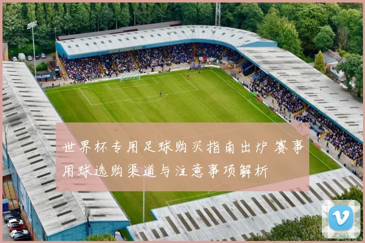 世界杯专用足球购买指南出炉 赛事用球选购渠道与注意事项解析