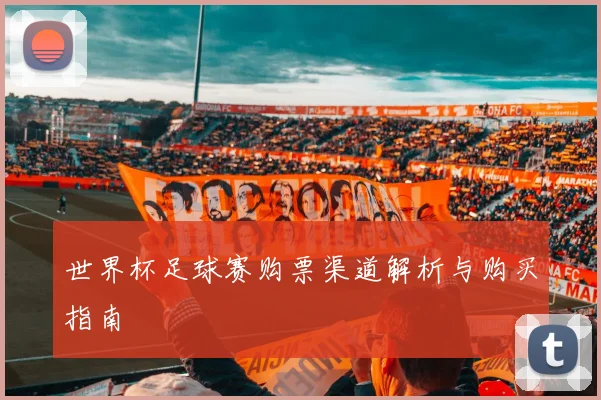 世界杯足球赛购票渠道解析与购买指南